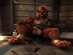 Gay Porn 12
